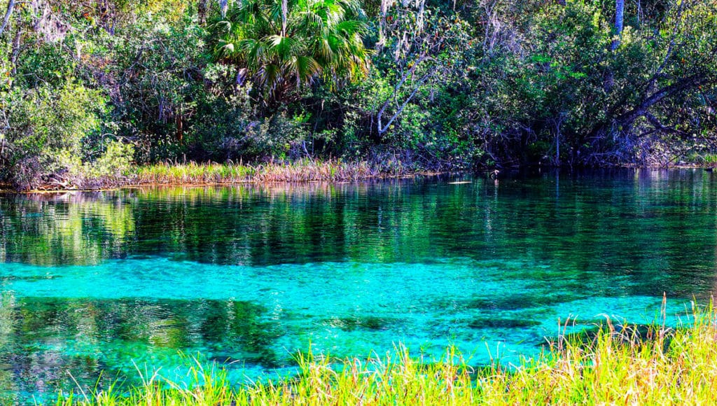 Aguas Termales San Bartolo El Spa Natural Milagroso De Veracruz