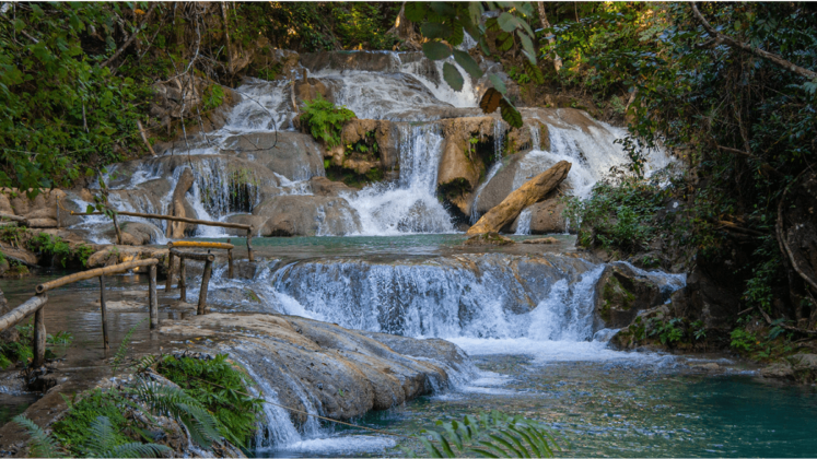 Esc Pate A Las Cascadas M Gicas De Copalitilla En Oaxaca Mexico