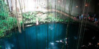 Cenotes en la Riviera Maya