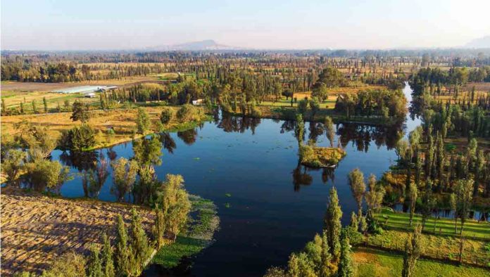 ¿Por qué está en peligro el humedal de Xochimilco?