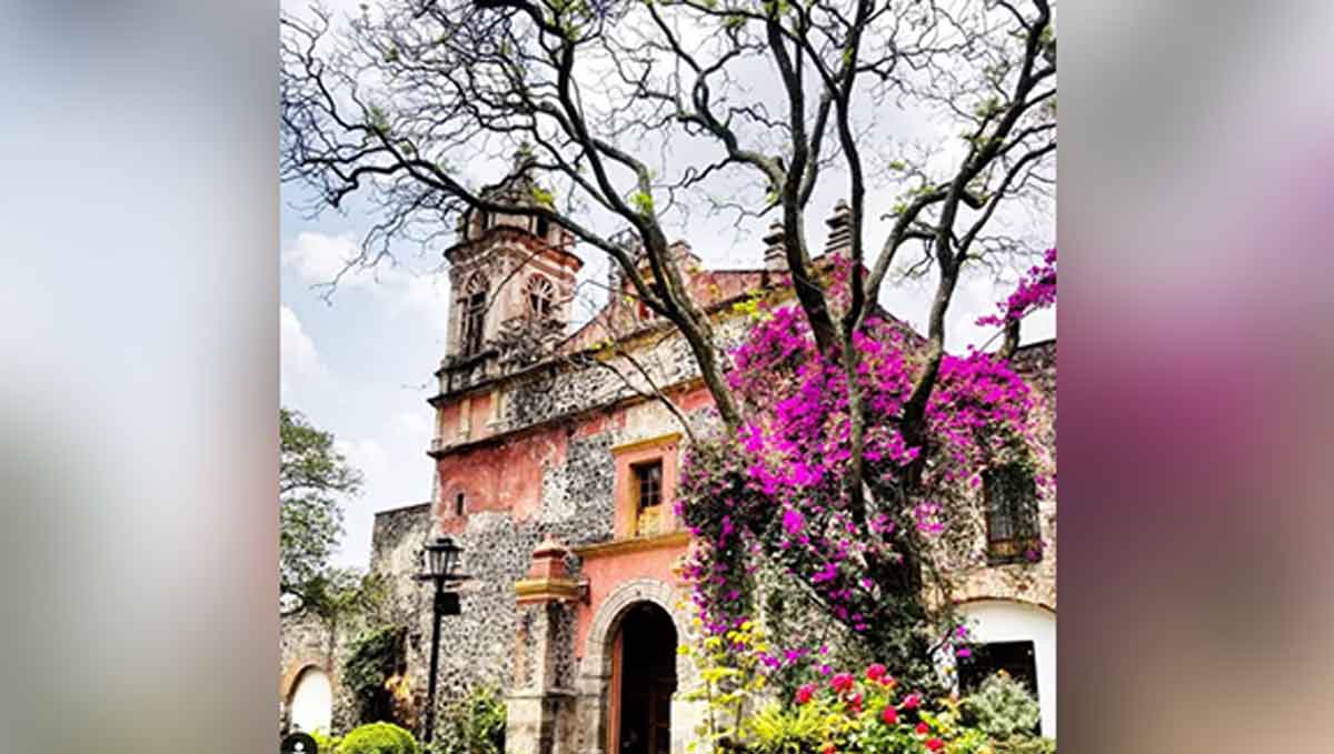 Qué hacer en San Ángel ? - Mexico Travel Channel