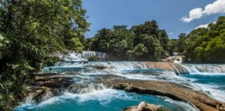 verano 2024: Cascadas de Agua Azul