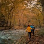 Vive la naturaleza indómita en Big Bear Lake