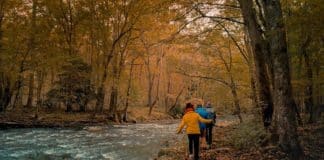 Vive la naturaleza indómita en Big Bear Lake