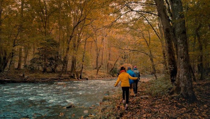 Vive la naturaleza indómita en Big Bear Lake