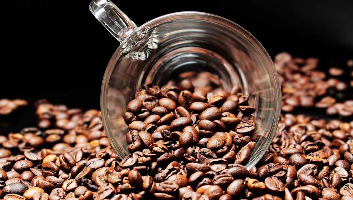 los 5 estados productores de café en méxico - 2
