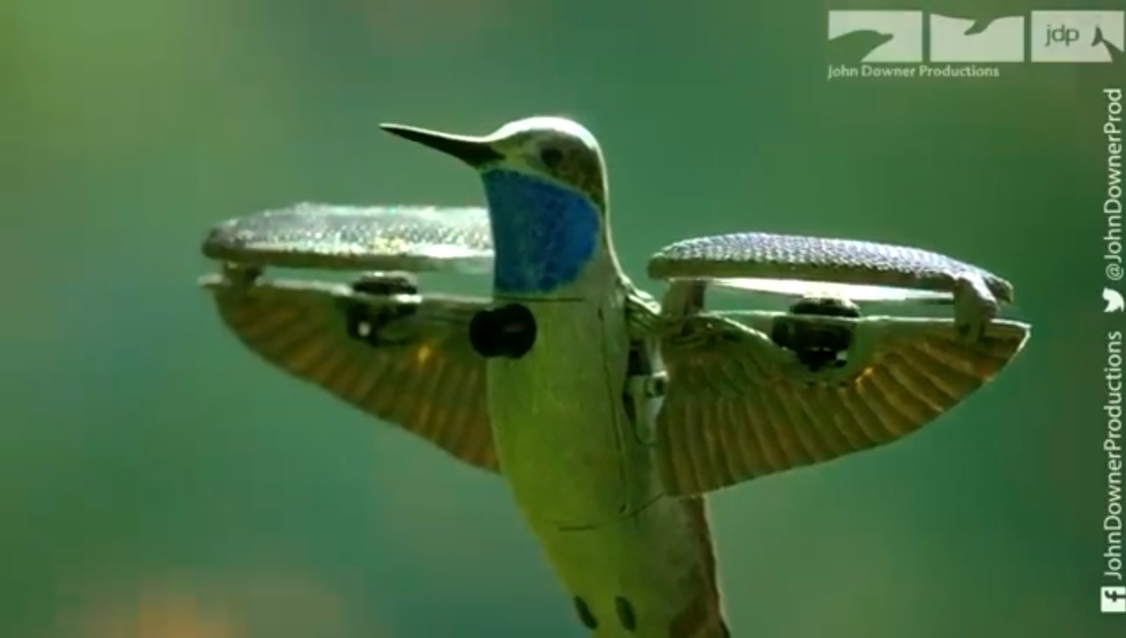 dron colibrí