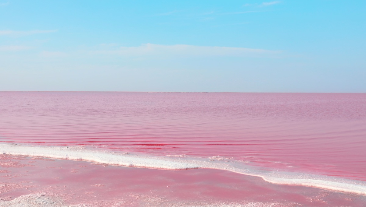 conoce kobeytuz, el lago rosa de kazajistán - 3