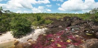 Caño Cristales