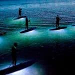 bioluminiscencia y paddle board