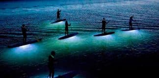 bioluminiscencia y paddle board