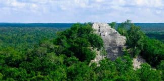 calakmul campeche