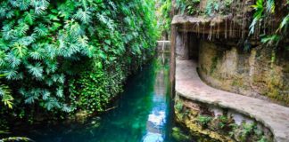 Cenotes Hacienda Mucuyché