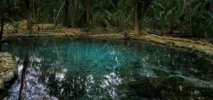 Reserva de la Biosfera Los Petenes en Campeche