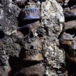 INAH hallan 119 cráneos de Tenochtitlan