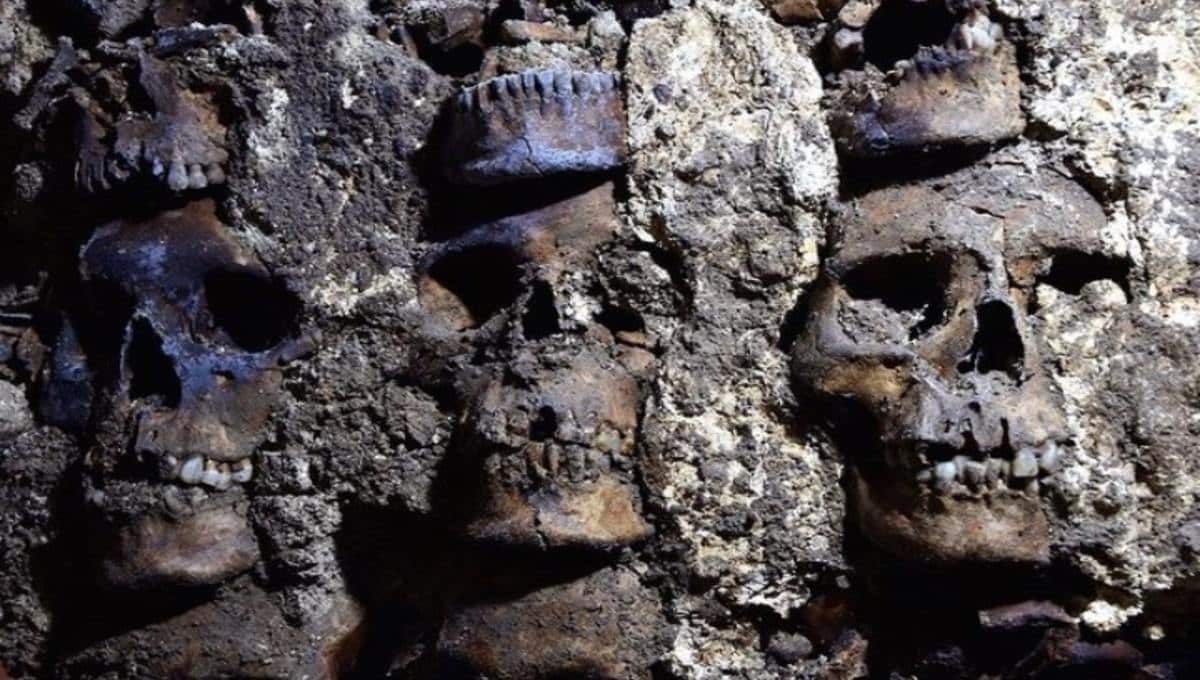 inah hallan 119 cráneos de tenochtitlan