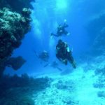 Parque Submarino Rosarito, el paraíso para bucear de Baja California