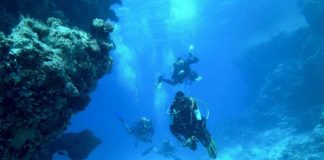 Parque Submarino Rosarito, el paraíso para bucear de Baja California