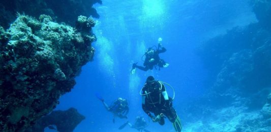 Parque Submarino Rosarito, el paraíso para bucear de Baja California