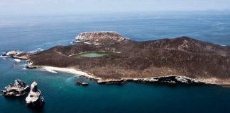 Parque Nacional Isla Isabel en Nayarit