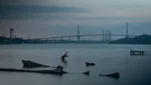 puente de tampico