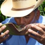 Pulque historia