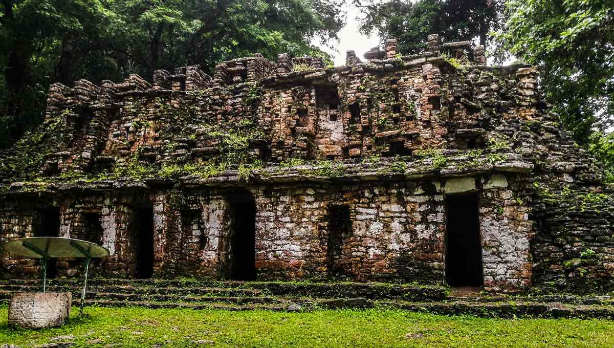 zona arqueológica de yaxchilán, en chiapas
