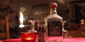 Tequila a nivel internacional es una bebida protegida