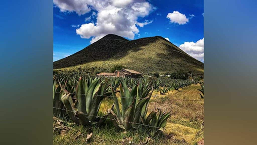 volcán tecajete