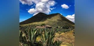 volcán tecajete