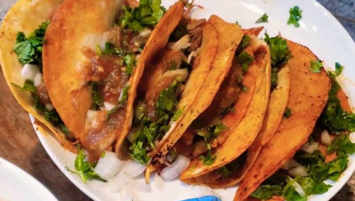 Barbacoa estilo Jalisco, un homenaje culinario a la res - Mexico Travel  Channel