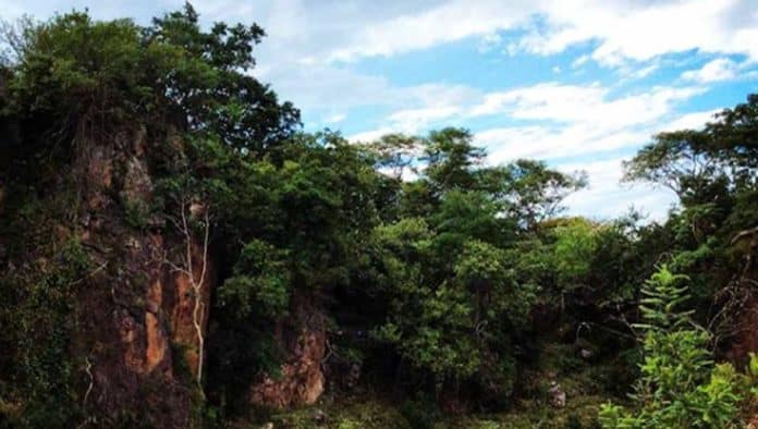 Vive una gran aventura en El Rosario Ixcatan Park Zapopan