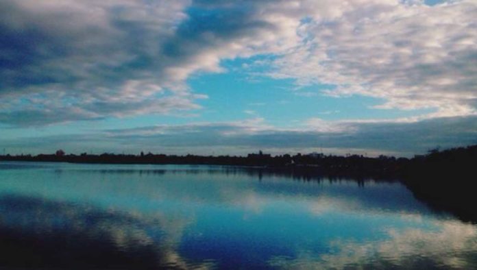 laguna de carpintero