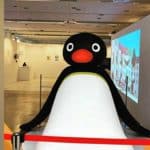 pingu