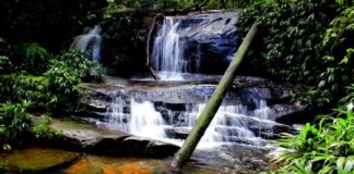 Sendero Ecoturístico de Tutunendo en Colombia