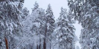 Yakutsk: la ciudad rusa más fría del mundo