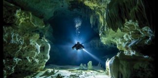 Cenotes en Yucatán