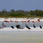 Holbox