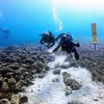 Grecia inaugurará este año su primer museo submarino