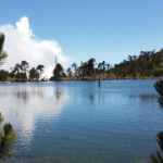 Laguna Tilapa en Veracruz