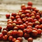 ¡Picoso pero sabroso! Así es el Chiltepín, el oro rojo mexicano