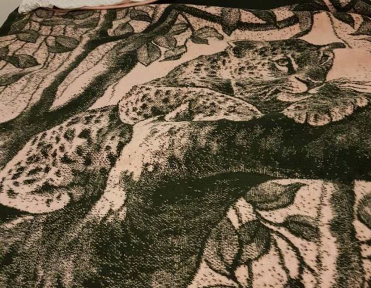 cobertores san marcos, el mítico tigre que cobijó a méxico