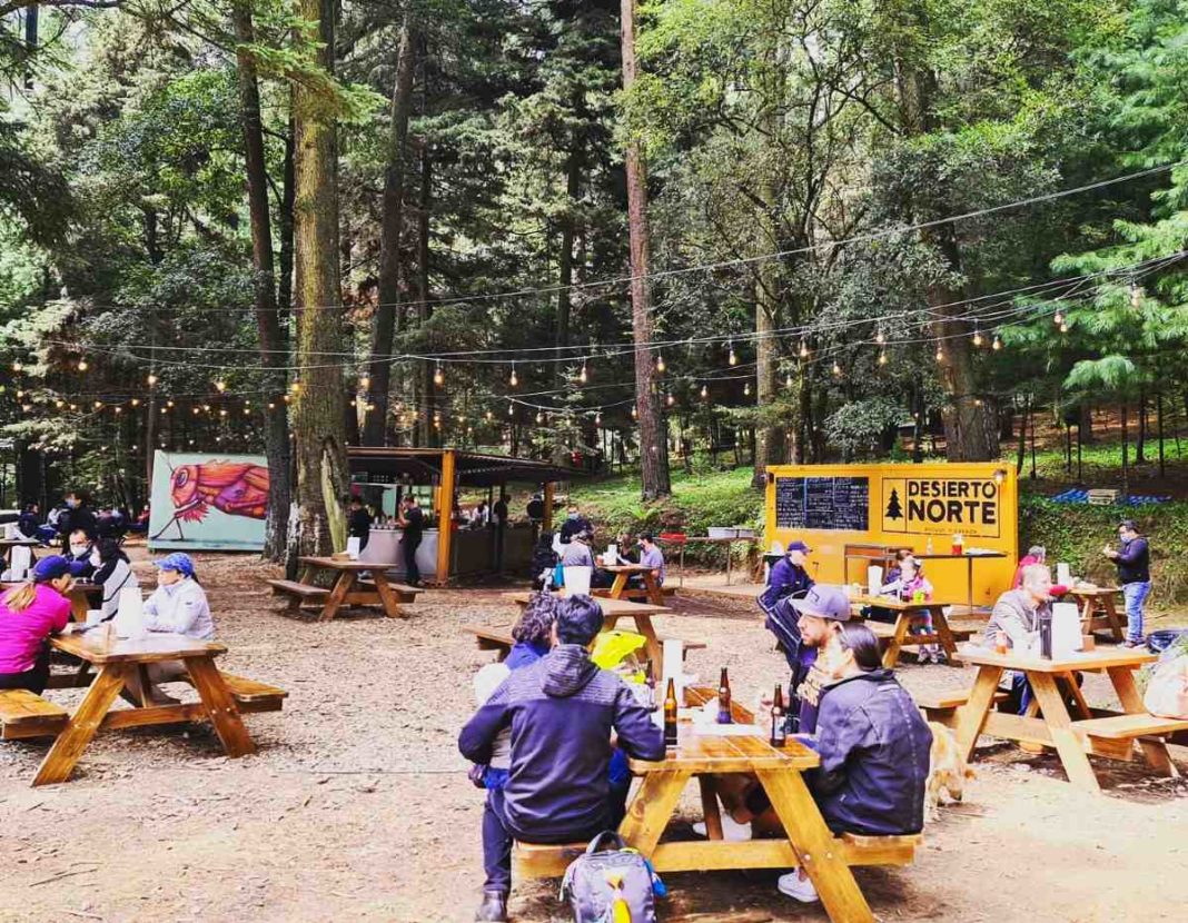 Desierto Norte, a restaurant among ash and oak trees - México Travel ...