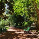 Jardín Botánico Culiacán, un oasis verde dedicado a la conservación natural