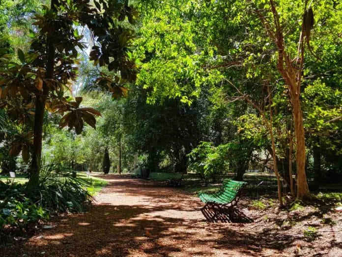 Jardín Botánico Culiacán, un oasis verde dedicado a la conservación natural