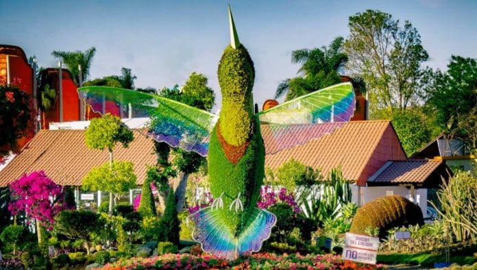 Jardín Mágico de Atlixco en Puebla
