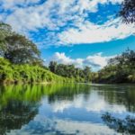 Las Guacamayas, el mejor lugar para descubrir la Selva Lacandona