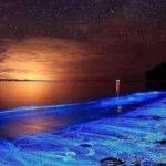 Playa Xpicob, una joya bioluminiscente de México