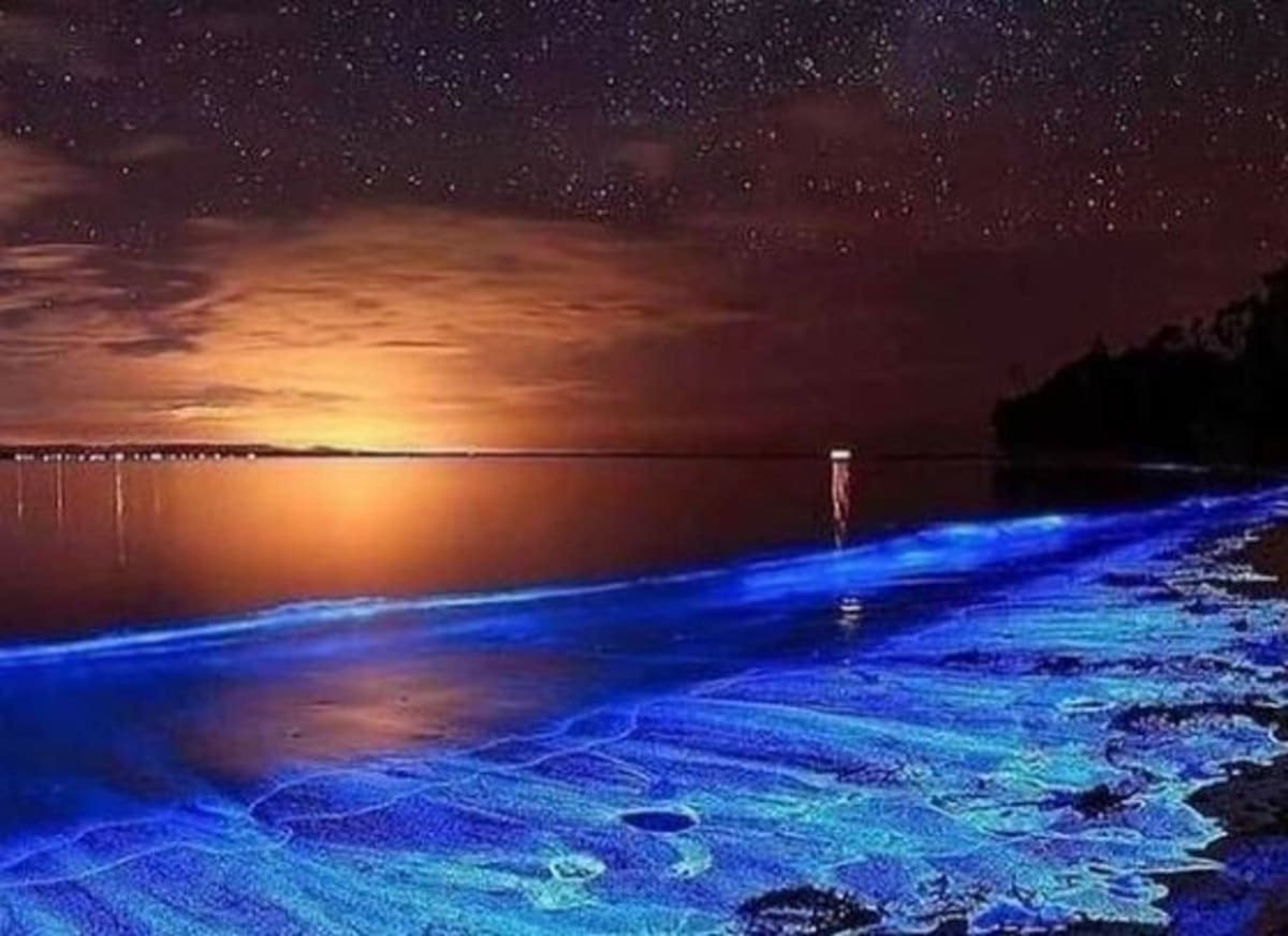 playa xpicob, una joya bioluminiscente de méxico