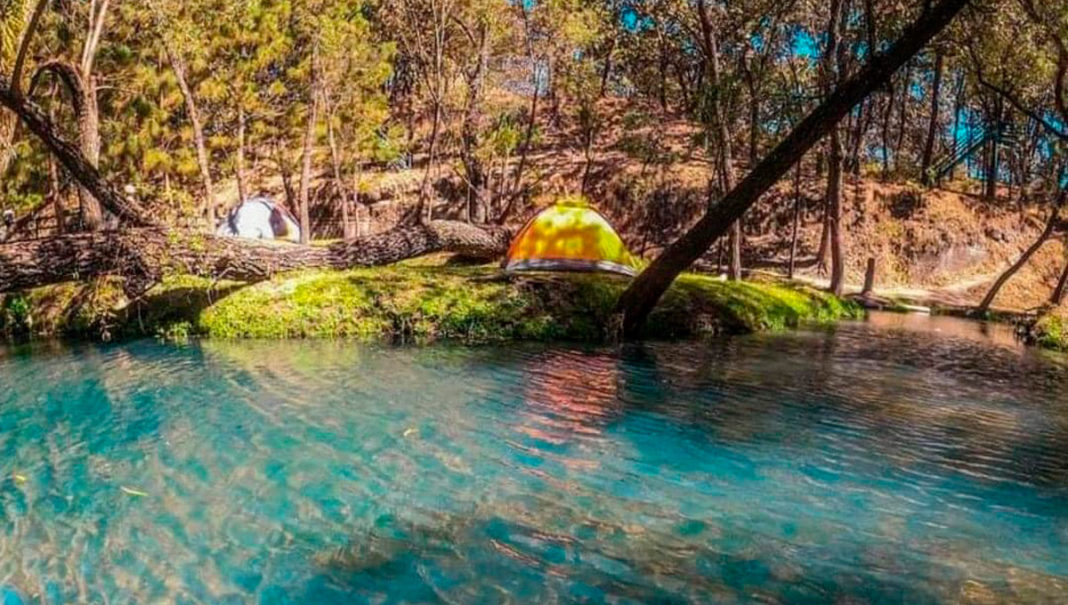 Bosque De La Primavera, El Santuario Más Bello De Jalisco - Mexico ...